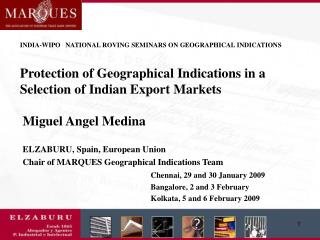 Miguel Angel Medina ELZABURU, Spain, European Union Chair of MARQUES Geographical Indications Team