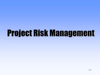 Project Risk Management