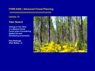 FORS 8450 • Advanced Forest Planning Lecture 12 Tabu Search