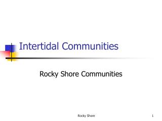 Intertidal Communities