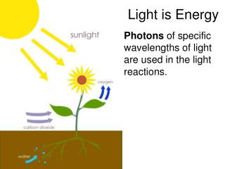 Light is Energy