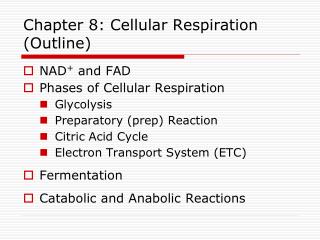 Chapter 8: Cellular Respiration (Outline)