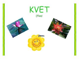 KVET (flos )