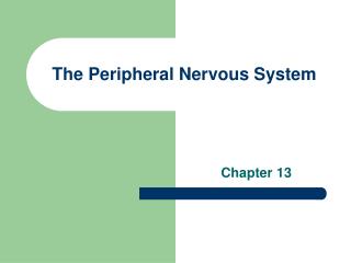 The Peripheral Nervous System