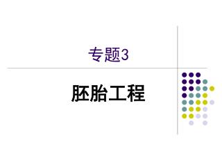 专题 3
