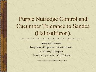 Purple Nutsedge Control and Cucumber Tolerance to Sandea (Halosulfuron).