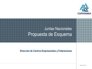 Juntas Nacionales Propuesta de Esquema