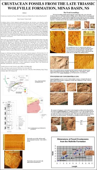 CRUSTACEAN FOSSILS FROM THE LATE TRIASSIC WOLFVILLE FORMATION, MINAS BASIN, NS