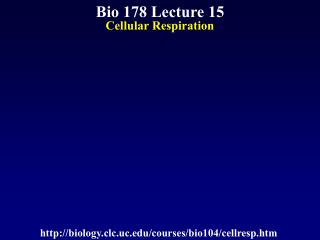 Bio 178 Lecture 15