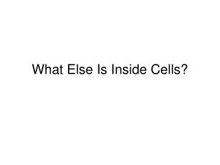What Else Is Inside Cells?