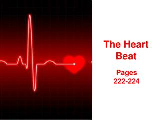 The Heart Beat