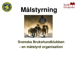 Målstyrning