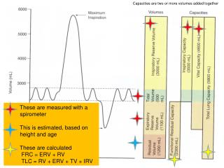 Capacities are two or more volumes added together