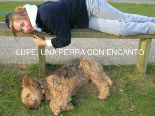 LUPE, UNA PERRA CON ENCANTO