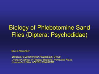 Biology of Phlebotomine Sand Flies (Diptera: Psychodidae)
