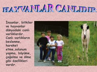 HAYVANLAR CANLIDIR