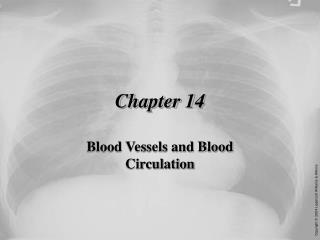 Chapter 14