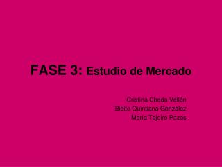 FASE 3: Estudio de Mercado