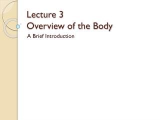 Lecture 3 Overview of the Body