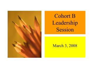 Cohort B Leadership Session