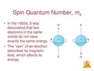 Spin Quantum Number, m s