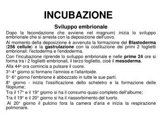 INCUBAZIONE