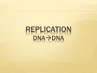Replication DnA Dna