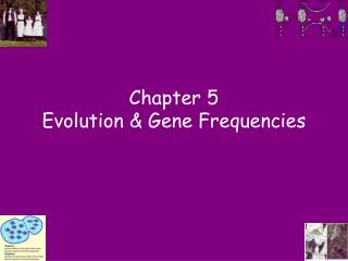 Chapter 5 Evolution &amp; Gene Frequencies