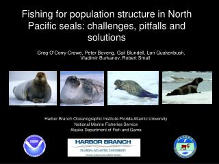 Fishing for population structure in North Pacific seals: challenges, pitfalls and solutions