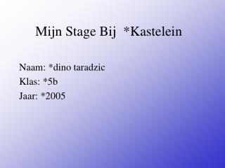Mijn Stage Bij *Kastelein