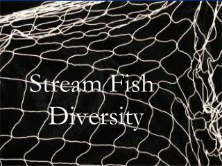 Stream Fish Diversity