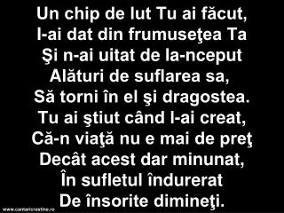 Un chip de lut Tu ai facut