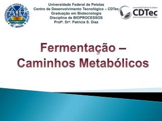 Fermentação – Caminhos Metabólicos