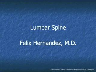 Lumbar Spine