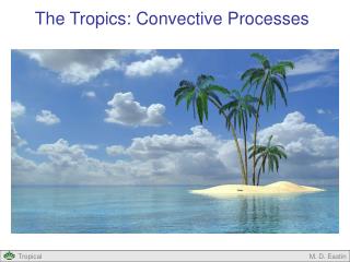 The Tropics: Convective Processes