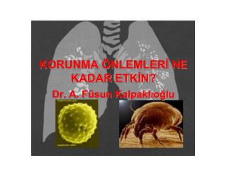 KORUNMA ÖNLEMLERİ NE KADAR ETKİN?