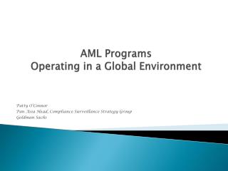 AML Programs Operating in a Global Environment