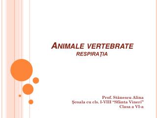 Animale vertebrate RESPIRAŢIA