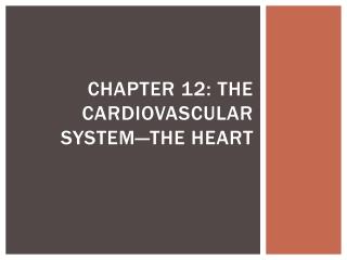 Chapter 12: The Cardiovascular System—The Heart