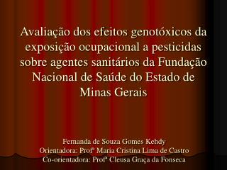 Fernanda de Souza Gomes Kehdy Orientadora: Profª Maria Cristina Lima de Castro