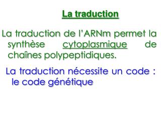 La traduction de l’ARNm permet la synthèse cytoplasmique de chaînes polypeptidiques.