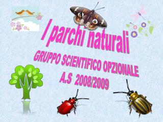 I parchi naturali GRUPPO SCIENTIFICO OPZIONALE A.S 2008/2009