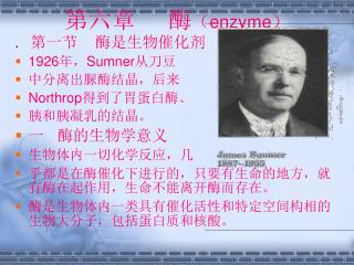 第六章 酶 （ enzyme）