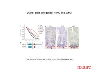 B-K Koo et al. Nature 000 , 1-5 (2012) doi:10.1038/nature11308