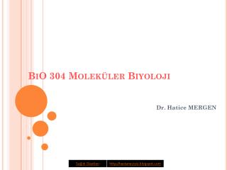 BiO 304 Moleküler Biyoloji
