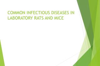 COMMON INFECTIOUS DISEASES IN LABORATORY RATS AND MICE