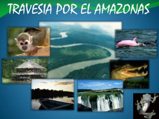 TRAVESIA POR EL AMAZONAS