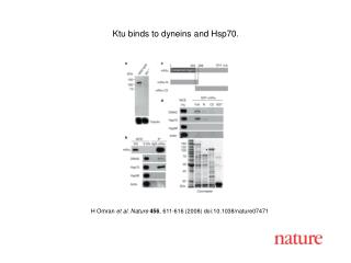 H Omran et al. Nature 456 , 611-616 (2008) doi:10.1038/nature07471