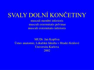 SVALY DOLNÍ KONČETINY musculi membri inferioris musculi extermitatis pelvinae