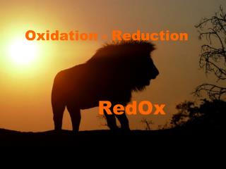 Oxidation - Reduction